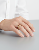 18K Gold PVD Stainless Steel Ring with Natural Wood Inlay - Classic Men's Wedding Band - 图片 4